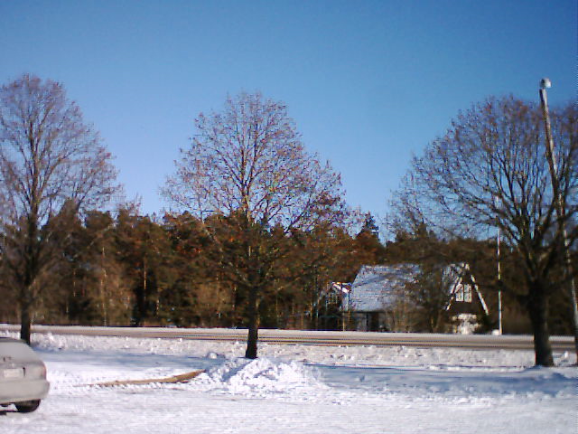Bild 6.jpg